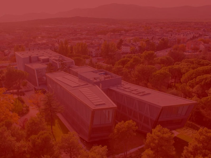 UNIVERSITARIOS